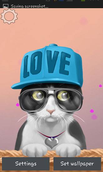 Ladda ner Cute kitty - gratis live wallpaper för Android på skrivbordet.