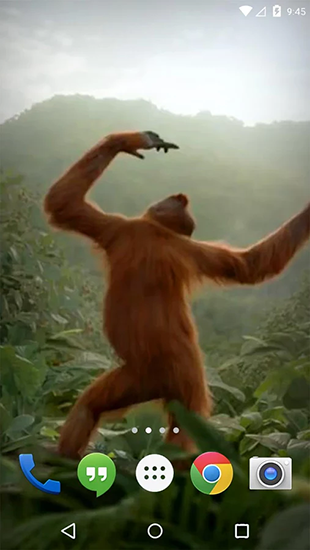 Ladda ner Dancing monkey - gratis live wallpaper för Android på skrivbordet.