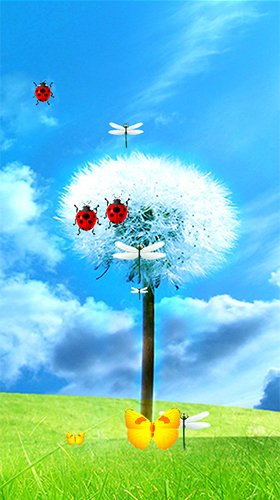 Dandelion by Latest Live Wallpapers