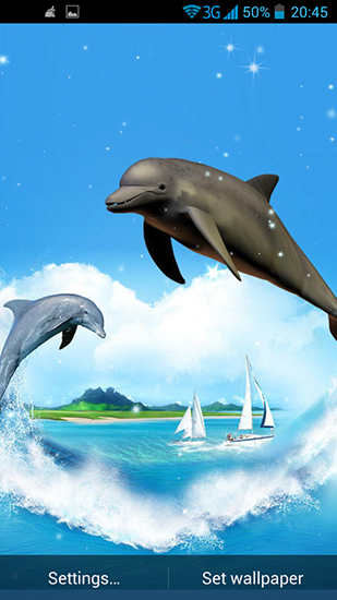 Ladda ner Dolphin 3D - gratis live wallpaper för Android på skrivbordet.