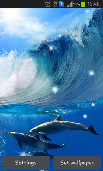 Ladda ner Dolphins - gratis live wallpaper för Android på skrivbordet.