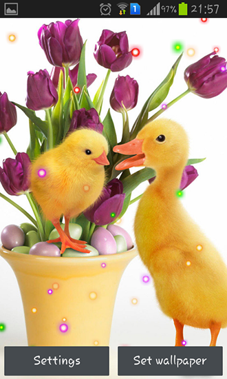 Ladda ner Easter Sunday - gratis live wallpaper för Android på skrivbordet.