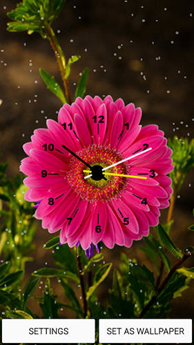 Flowers clock