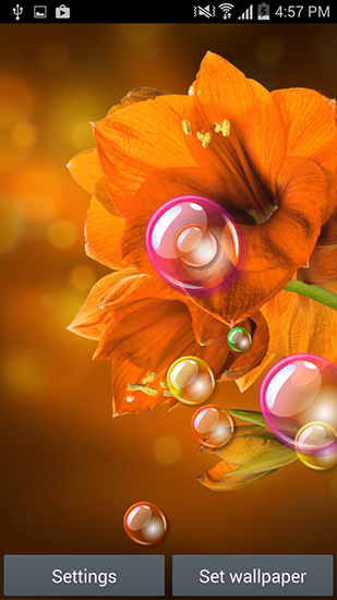 Ladda ner Flowers 2015 - gratis live wallpaper för Android på skrivbordet.
