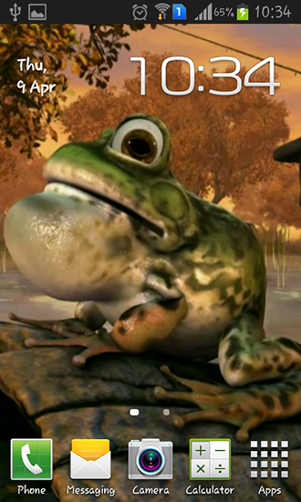 Ladda ner Frog 3D - gratis live wallpaper för Android på skrivbordet.