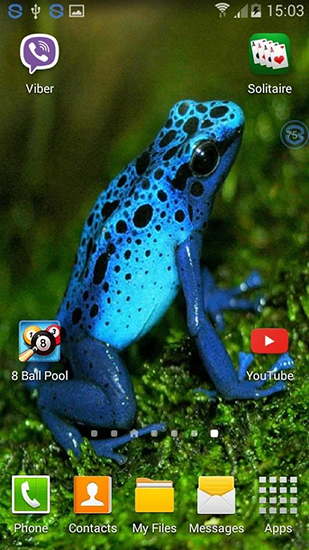 Ladda ner Frogs: shake and change - gratis live wallpaper för Android på skrivbordet.