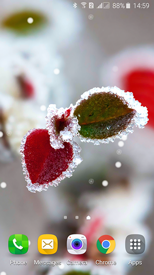 Ladda ner Frozen beauty: Winter tale - gratis live wallpaper för Android på skrivbordet.