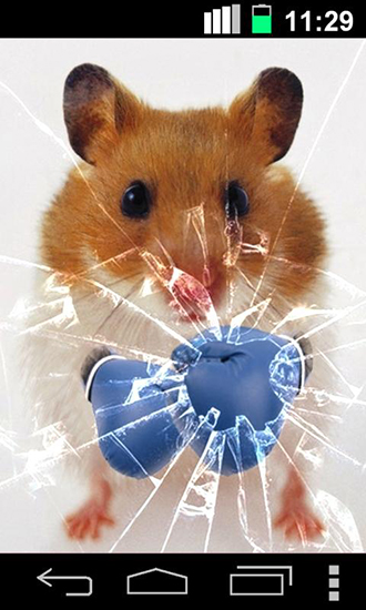 Ladda ner Funny hamster: Cracked screen - gratis live wallpaper för Android på skrivbordet.