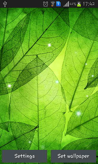 Ladda ner Green leaves - gratis live wallpaper för Android på skrivbordet.
