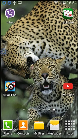 Ladda ner Leopards: shake and change - gratis live wallpaper för Android på skrivbordet.