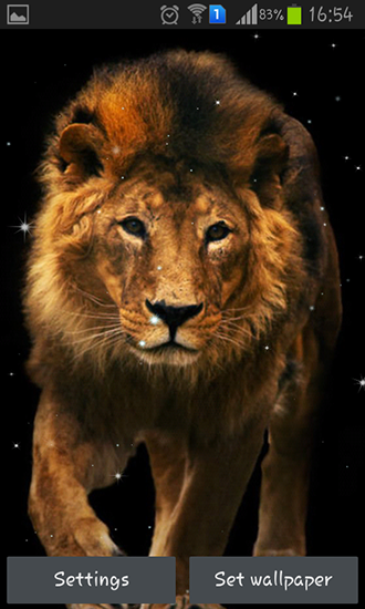 Ladda ner Lion - gratis live wallpaper för Android på skrivbordet.