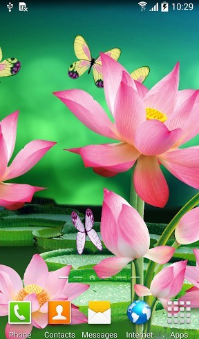 Ladda ner Lotus - gratis live wallpaper för Android på skrivbordet.