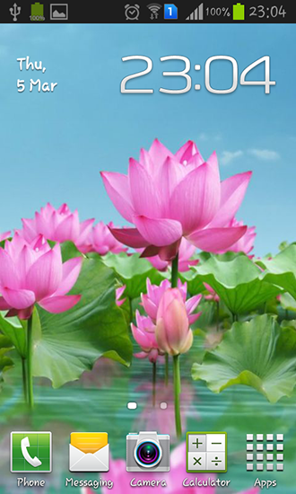 Ladda ner Lotus pond - gratis live wallpaper för Android på skrivbordet.