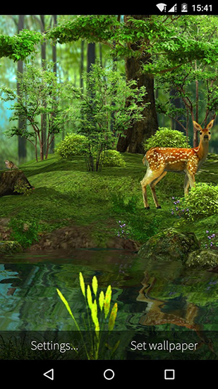 Ladda ner Nature 3D - gratis live wallpaper för Android på skrivbordet.