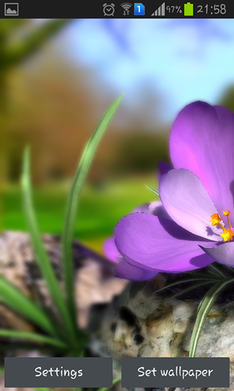 Ladda ner Nature live: Spring flowers 3D - gratis live wallpaper för Android på skrivbordet.