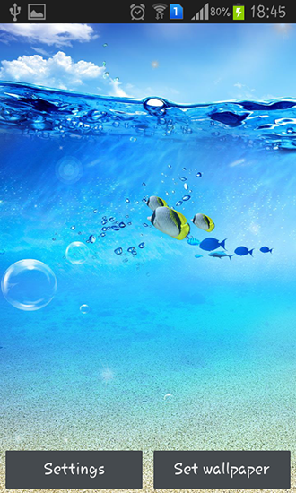 Ladda ner Ocean - gratis live wallpaper för Android på skrivbordet.