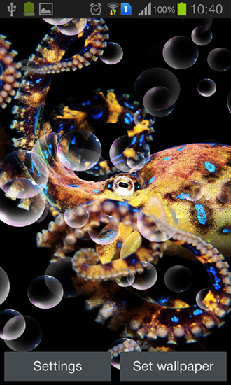 Ladda ner Octopus - gratis live wallpaper för Android på skrivbordet.