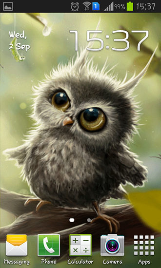 Ladda ner Owl chick - gratis live wallpaper för Android på skrivbordet.