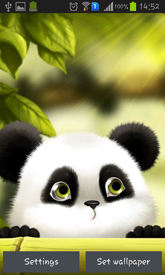 Ladda ner Panda - gratis live wallpaper för Android på skrivbordet.