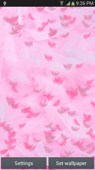 Ladda ner Pink feather - gratis live wallpaper för Android på skrivbordet.