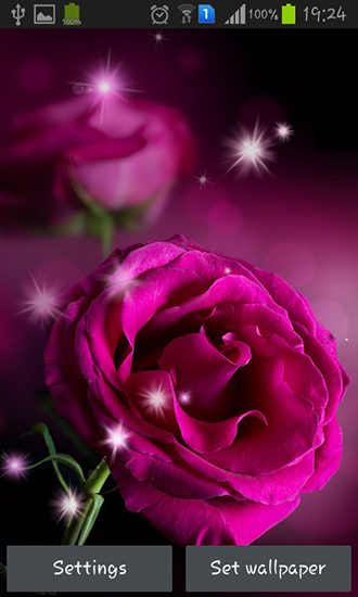 Ladda ner Pink roses - gratis live wallpaper för Android på skrivbordet.