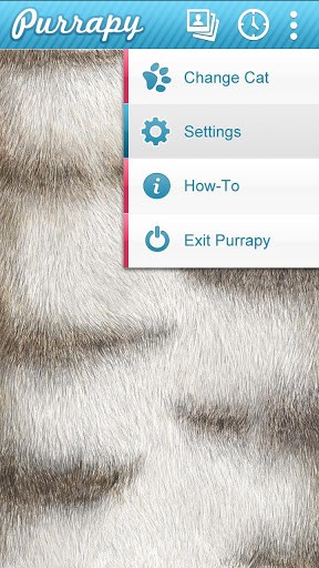 Ladda ner Purrapy - gratis live wallpaper för Android på skrivbordet.