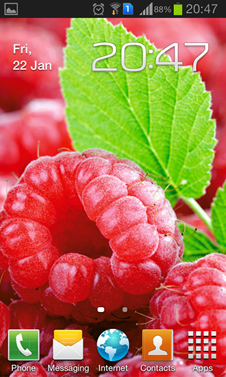 Ladda ner Raspberries - gratis live wallpaper för Android på skrivbordet.