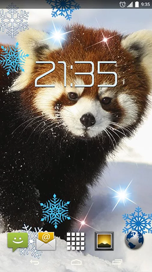 Ladda ner Red panda - gratis live wallpaper för Android på skrivbordet.