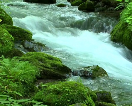 Ladda ner River flow - gratis live wallpaper för Android på skrivbordet.