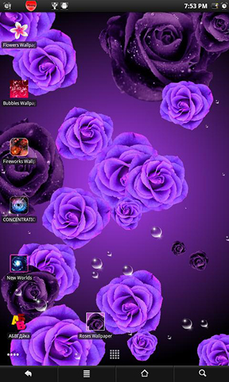 Ladda ner Roses 2 - gratis live wallpaper för Android på skrivbordet.