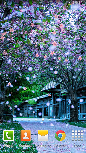 Ladda ner Sakura by orchid - gratis live wallpaper för Android på skrivbordet.