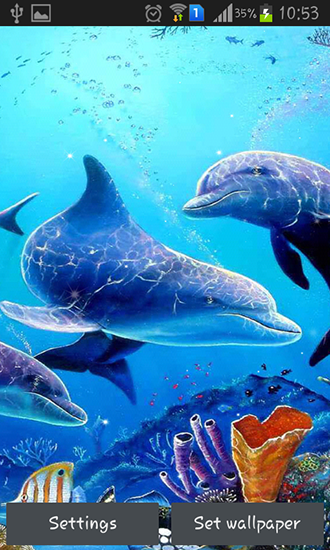 Ladda ner Sea dolphin - gratis live wallpaper för Android på skrivbordet.