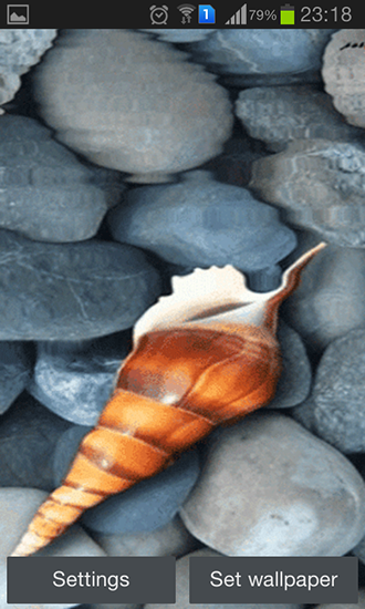 Ladda ner Seashell by Memory lane - gratis live wallpaper för Android på skrivbordet.