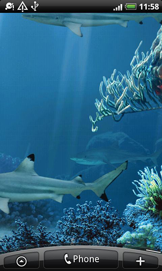 Ladda ner Shark reef - gratis live wallpaper för Android på skrivbordet.