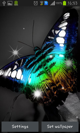 Ladda ner Shiny butterfly - gratis live wallpaper för Android på skrivbordet.