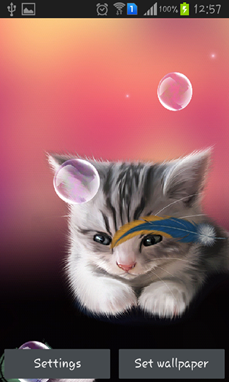 Ladda ner Sleepy kitten - gratis live wallpaper för Android på skrivbordet.