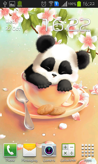 Ladda ner Sleepy panda - gratis live wallpaper för Android på skrivbordet.