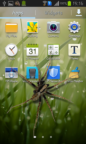 Ladda ner Spider in phone - gratis live wallpaper för Android på skrivbordet.