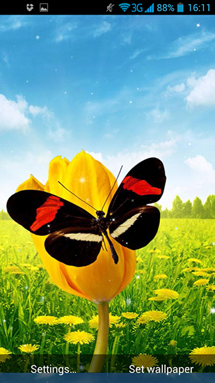 Ladda ner Spring butterflies - gratis live wallpaper för Android på skrivbordet.