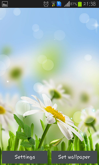 Ladda ner Spring flower - gratis live wallpaper för Android på skrivbordet.