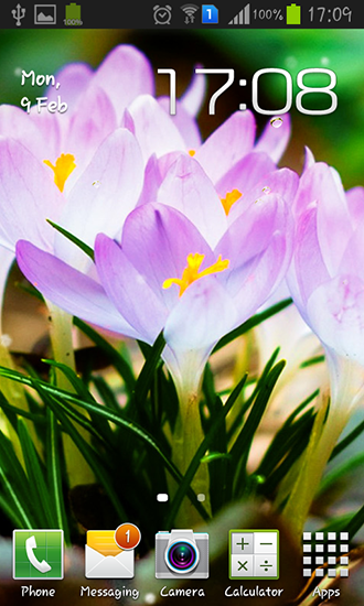 Ladda ner Spring flowers: Rain - gratis live wallpaper för Android på skrivbordet.