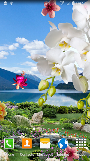 Ladda ner Spring garden - gratis live wallpaper för Android på skrivbordet.