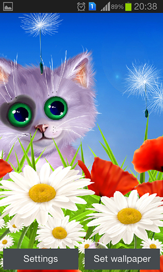 Ladda ner Spring: Kitten - gratis live wallpaper för Android på skrivbordet.