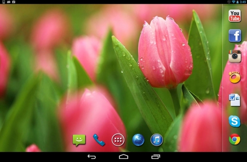 Ladda ner Spring rain - gratis live wallpaper för Android på skrivbordet.