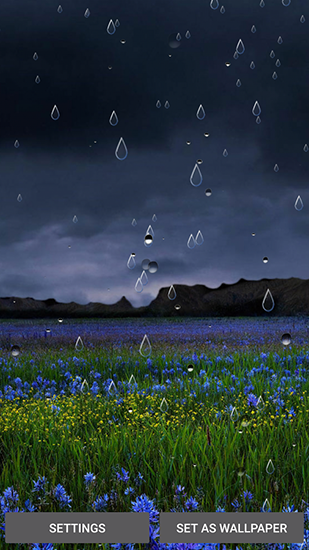 Ladda ner Spring rain by Locos apps - gratis live wallpaper för Android på skrivbordet.