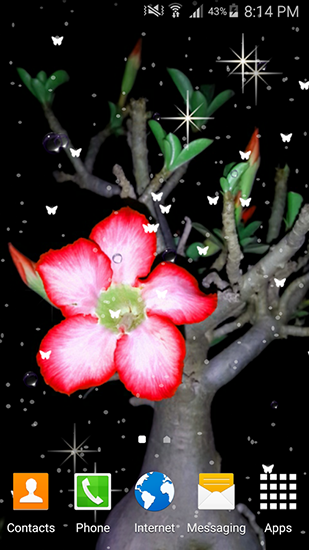 Ladda ner Summer flowers by Stechsolutions - gratis live wallpaper för Android på skrivbordet.