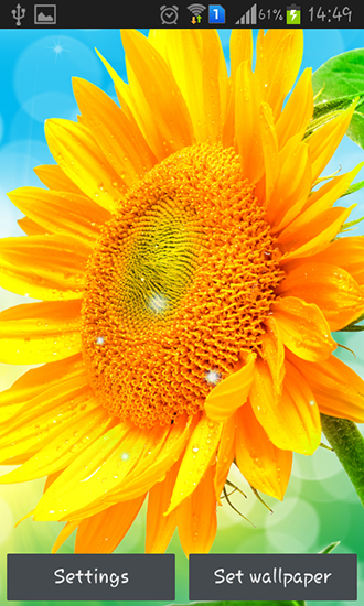Ladda ner Sunflower by Creative factory wallpapers - gratis live wallpaper för Android på skrivbordet.