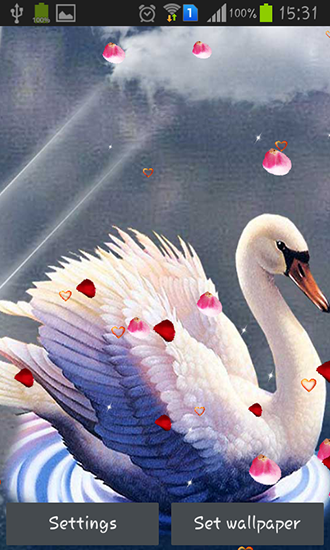 Ladda ner Swans: Love - gratis live wallpaper för Android på skrivbordet.