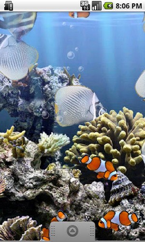 Ladda ner The real aquarium - gratis live wallpaper för Android på skrivbordet.