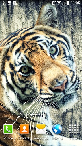 Ladda ner Tiger by Amax LWPS - gratis live wallpaper för Android på skrivbordet.